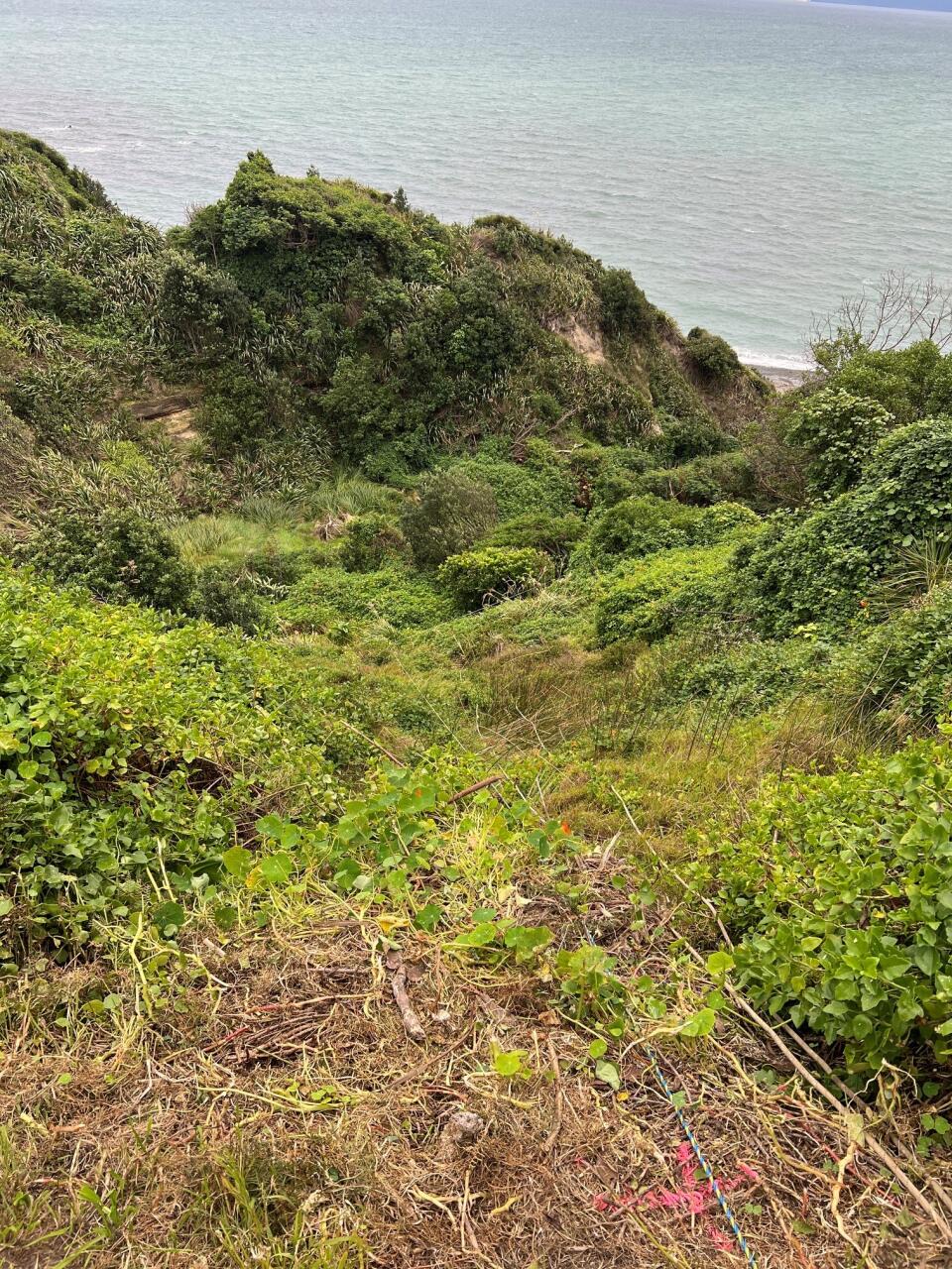 Pa Road, Pukerua Bay