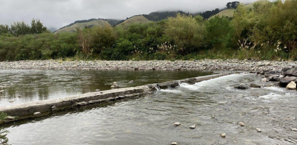 Tauwharenikau rotated